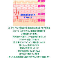 画像633